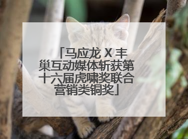 马应龙 X 丰巢互动媒体斩获第十六届虎啸奖联合营销类铜奖