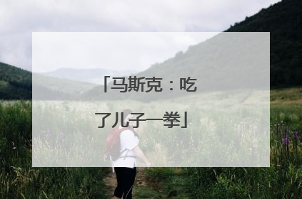 马斯克：吃了儿子一拳