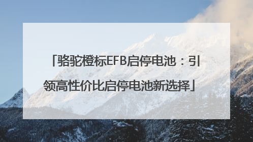 骆驼橙标EFB启停电池：引领高性价比启停电池新选择