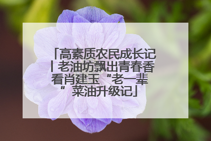 高素质农民成长记丨老油坊飘出青春香 看肖建玉“老一辈”菜油升级记