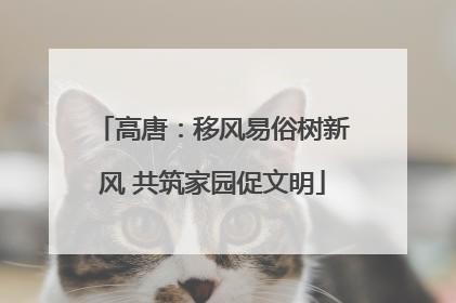 高唐：移风易俗树新风 共筑家园促文明
