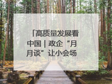 高质量发展看中国｜政企“月月谈”让小会场撬动大营商