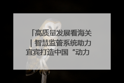 高质量发展看海关｜智慧监管系统助力宜宾打造中国“动力电池之都”