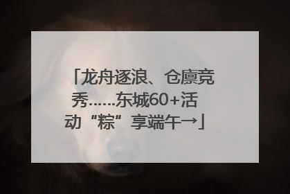 龙舟逐浪、仓廪竞秀……东城60+活动“粽”享端午→