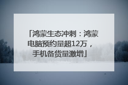 鸿蒙生态冲刺：鸿蒙电脑预约量超12万，手机备货量激增