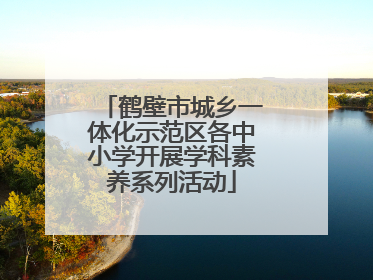 鹤壁市城乡一体化示范区各中小学开展学科素养系列活动
