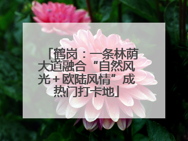 鹤岗：一条林荫大道融合“自然风光＋欧陆风情”成热门打卡地