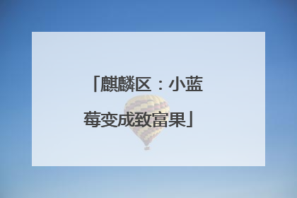 麒麟区：小蓝莓变成致富果