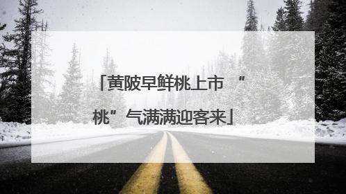 黄陂早鲜桃上市 “桃”气满满迎客来