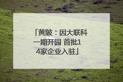 黄陂：因大联科一期开园 首批14家企业入驻
