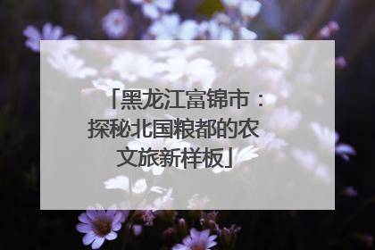 黑龙江富锦市：探秘北国粮都的农文旅新样板