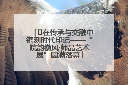 ﻿在传承与交融中镌刻时代印记——“皖韵徽风·师晶艺术展”圆满落幕
