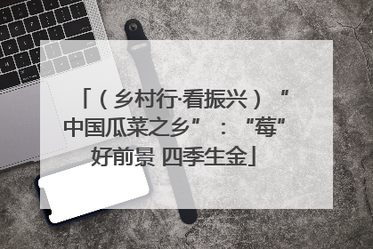 （乡村行·看振兴）“中国瓜菜之乡”：“莓”好前景 四季生金