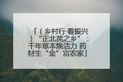 （乡村行·看振兴）“正北芪之乡”：千年草本焕活力 药材生“金”富农家