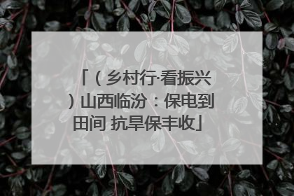 （乡村行·看振兴）山西临汾：保电到田间 抗旱保丰收