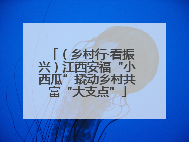 （乡村行·看振兴）江西安福“小西瓜”撬动乡村共富“大支点”