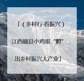 （乡村行·看振兴）江西赣县小鸡蛋“孵”出乡村振兴大产业