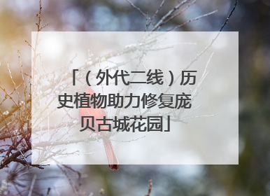 （外代二线）历史植物助力修复庞贝古城花园