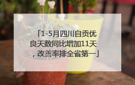 1-5月四川自贡优良天数同比增加11天，改善率排全省第一