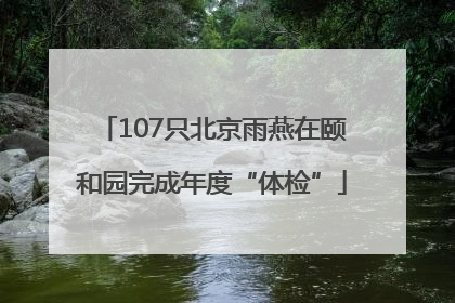 107只北京雨燕在颐和园完成年度“体检”