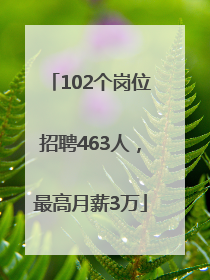 102个岗位招聘463人，最高月薪3万