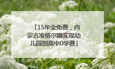 15年全免费，内蒙古准格尔旗实现幼儿园到高中0学费