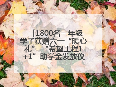 1800名一年级学子获赠六一“暖心礼” “希望工程1+1”助学金发放仪式在川举行