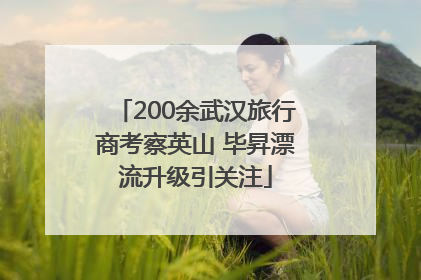 200余武汉旅行商考察英山 毕昇漂流升级引关注