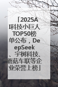 2025AI科技小巨人TOP50榜单公布，DeepSeek、宇树科技、蘑菇车联等企业荣誉上榜