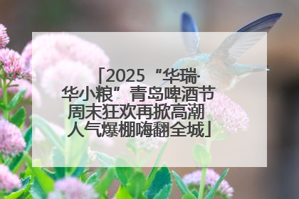 2025“华瑞·华小粮”青岛啤酒节周末狂欢再掀高潮 人气爆棚嗨翻全城