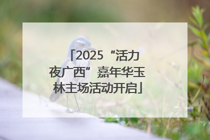 2025“活力夜广西”嘉年华玉林主场活动开启