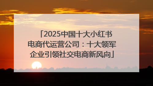 2025中国十大小红书电商代运营公司：十大领军企业引领社交电商新风向