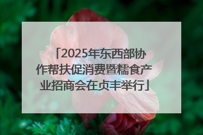 2025年东西部协作帮扶促消费暨糯食产业招商会在贞丰举行