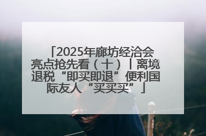 2025年廊坊经洽会亮点抢先看（十）丨离境退税“即买即退”便利国际友人“买买买”