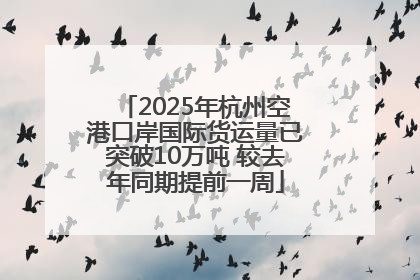 2025年杭州空港口岸国际货运量已突破10万吨 较去年同期提前一周