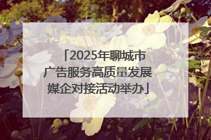 2025年聊城市广告服务高质量发展媒企对接活动举办