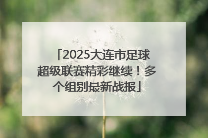 2025大连市足球超级联赛精彩继续！多个组别最新战报