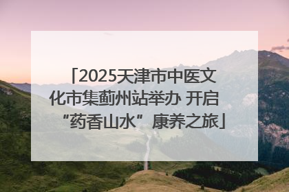 2025天津市中医文化市集蓟州站举办 开启“药香山水”康养之旅