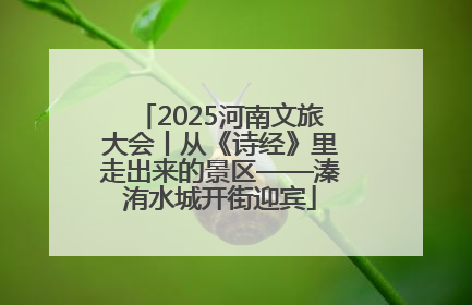 2025河南文旅大会丨从《诗经》里走出来的景区——溱洧水城开街迎宾
