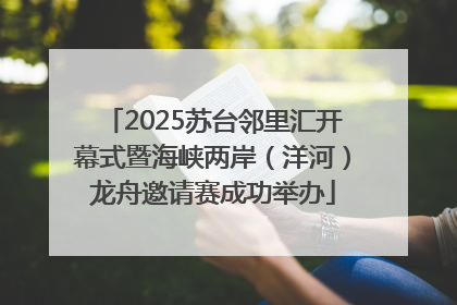 2025苏台邻里汇开幕式暨海峡两岸（洋河）龙舟邀请赛成功举办