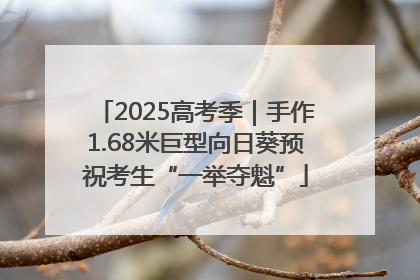 2025高考季｜手作1.68米巨型向日葵预祝考生“一举夺魁”