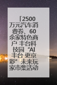 2500万元汽车消费券、60余家特色商户 丰台科技园“AI丰台 更京彩”未来玩家市集活动正式开幕