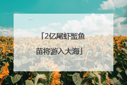 2亿尾虾蟹鱼苗将游入大海