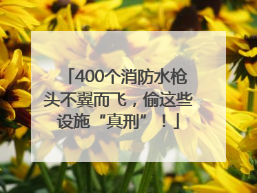 400个消防水枪头不翼而飞，偷这些设施“真刑”！