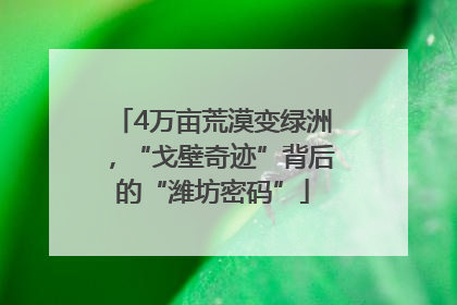 4万亩荒漠变绿洲，“戈壁奇迹”背后的“潍坊密码”