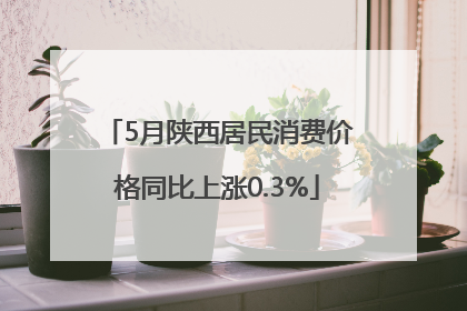 5月陕西居民消费价格同比上涨0.3%