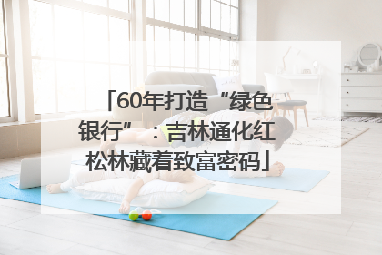 60年打造“绿色银行”：吉林通化红松林藏着致富密码