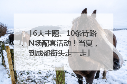 6大主题、10条诗路、N场配套活动！当夏，到成都街头走一走