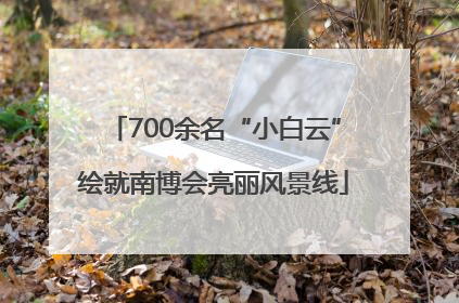 700余名“小白云”绘就南博会亮丽风景线