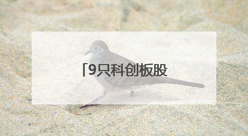 9只科创板股今日大宗交易平台发生交易